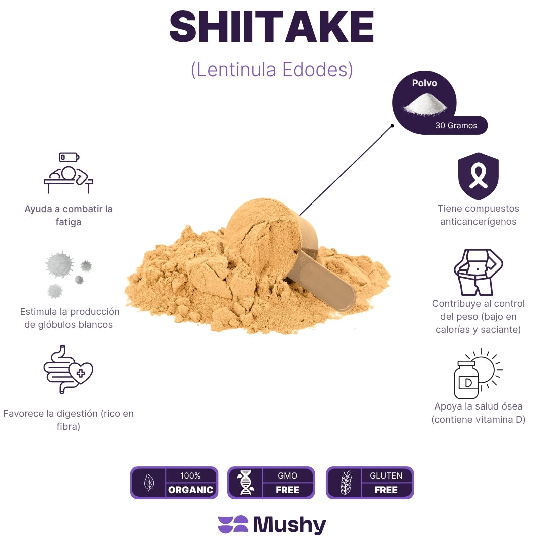 SHIITAKE (Lentinula edodes)