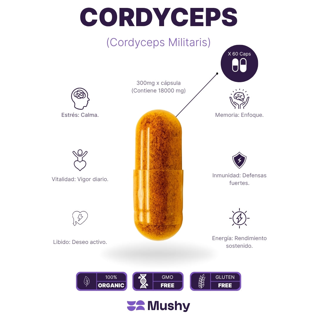 Duo Pack Ashwagandha + Cordyceps (38% OFF)