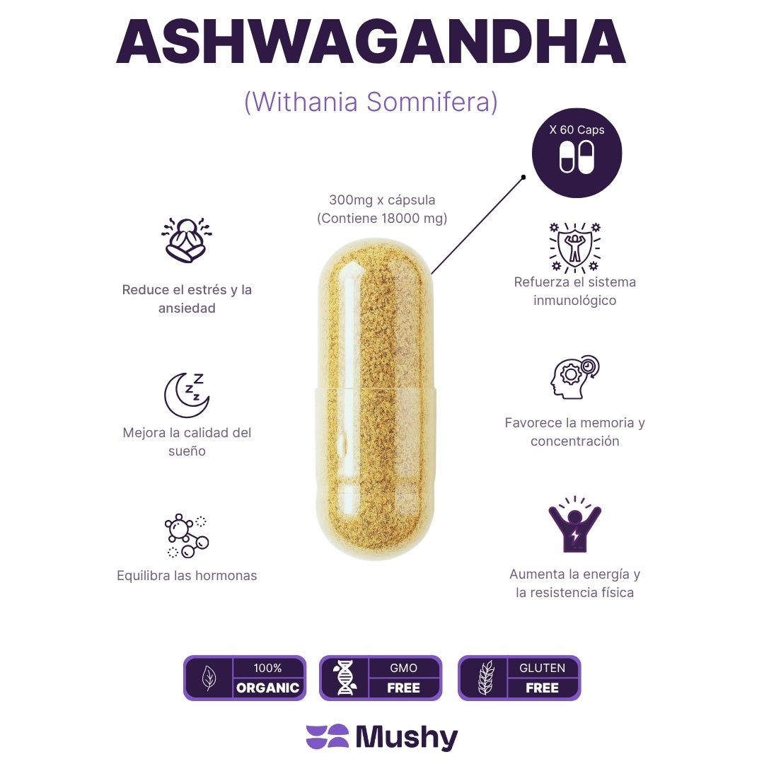 Cyber Tripack: Melena de León-Ashwagandha-Gotero 70v7(30ml)