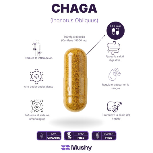 CHAGA