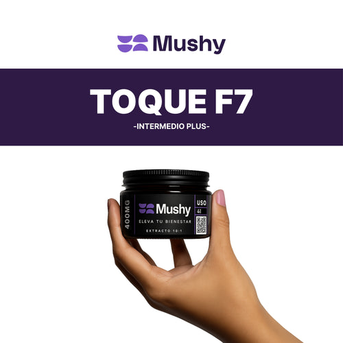 Toque F7 (Intermedio Plus)