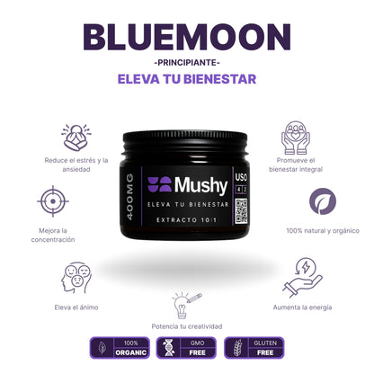 Bluemoon (principiante)