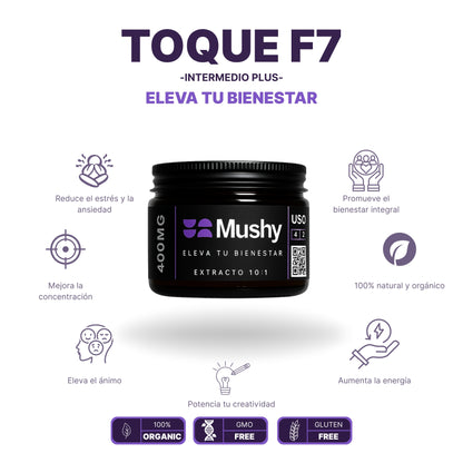 Toque F7 (Intermedio Plus)