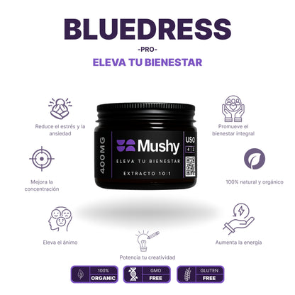 Bluedress (Pro)