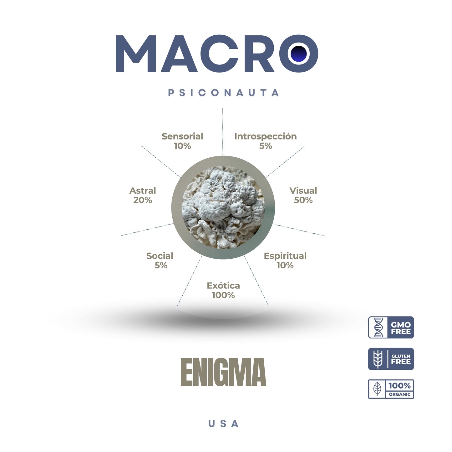 ENIGMA MACRO