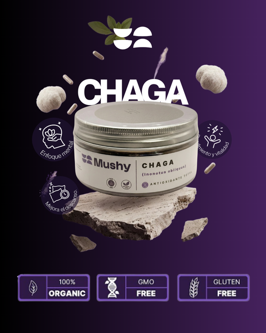 CHAGA 100% PURA (Inonotus obliquus)