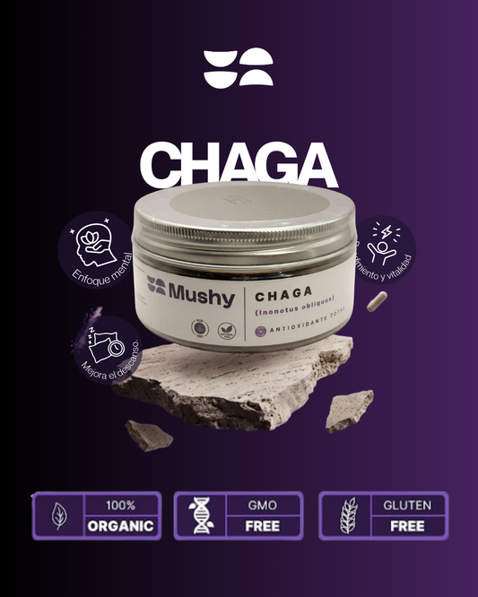 CHAGA 100% PURA (Inonotus obliquus)