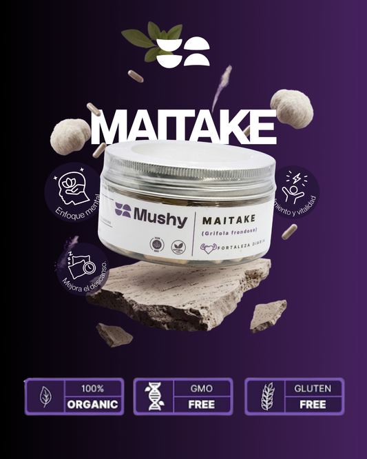 MAITAKE 100% PURO(Grifola frondosa)