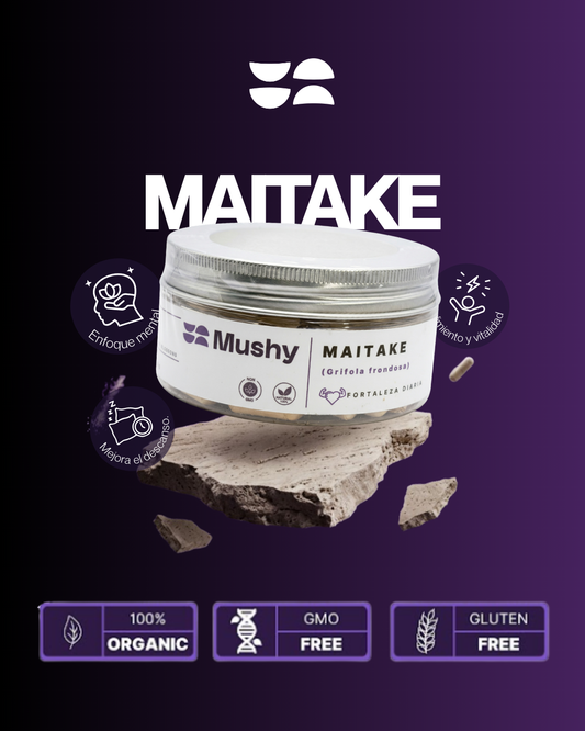 MAITAKE 100% PURO(Grifola frondosa)