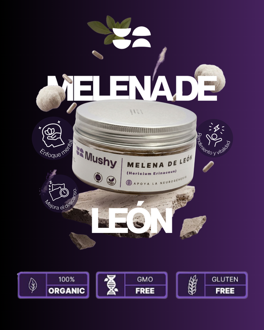 MELENA DE LEÓN 100% PURA (Hericium erinaceus)