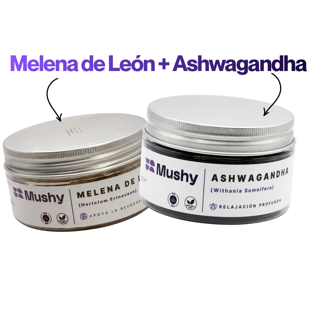 MODO DESCANSO | MELENA DE LEÓN + ASHWAGANDHA