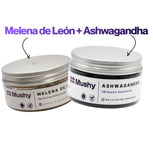 MODO DESCANSO | MELENA DE LEÓN + ASHWAGANDHA