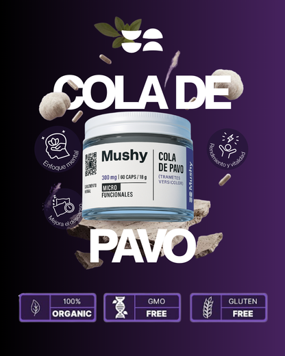 COLA DE PAVO 100% PURA (Trametes versicolor)