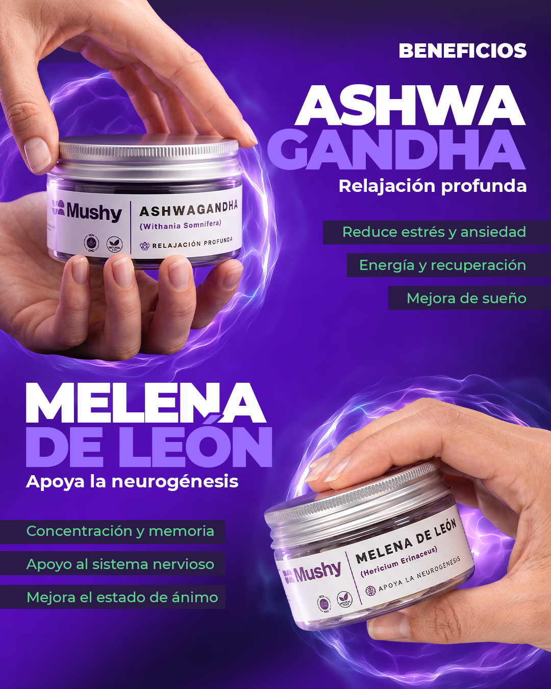 MODO DESCANSO | MELENA DE LEÓN + ASHWAGANDHA
