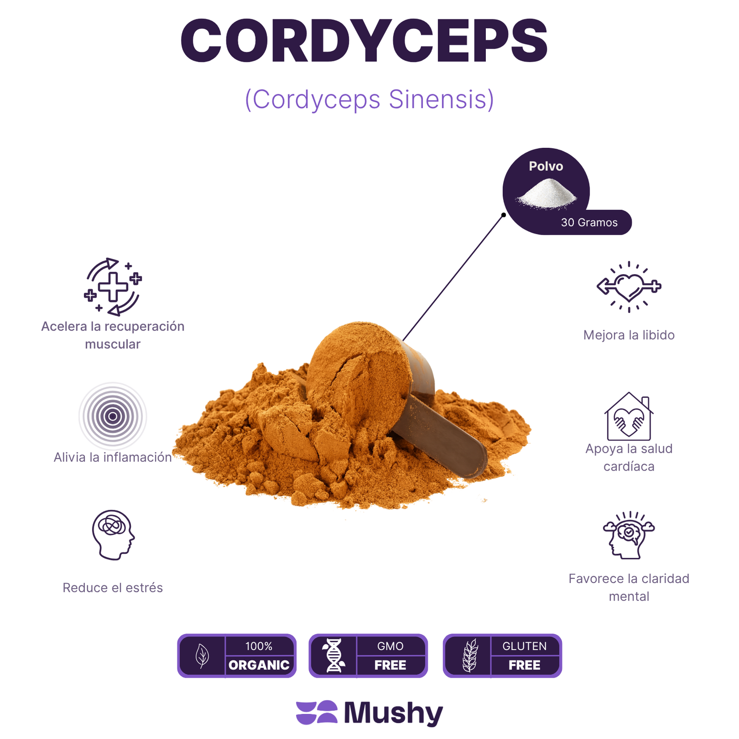 CORDYCEPS 100% PURO (Cordyceps militaris)