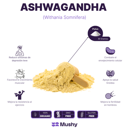 ASHWAGANDHA 100% PURA (Withania somnifera)