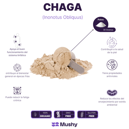 CHAGA 100% PURA (Inonotus obliquus)