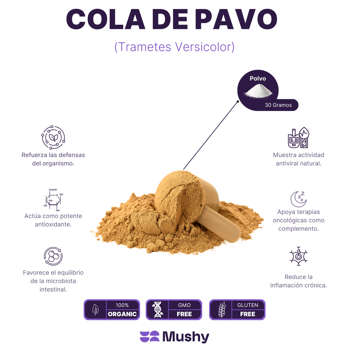 COLA DE PAVO 100% PURA (Trametes versicolor)