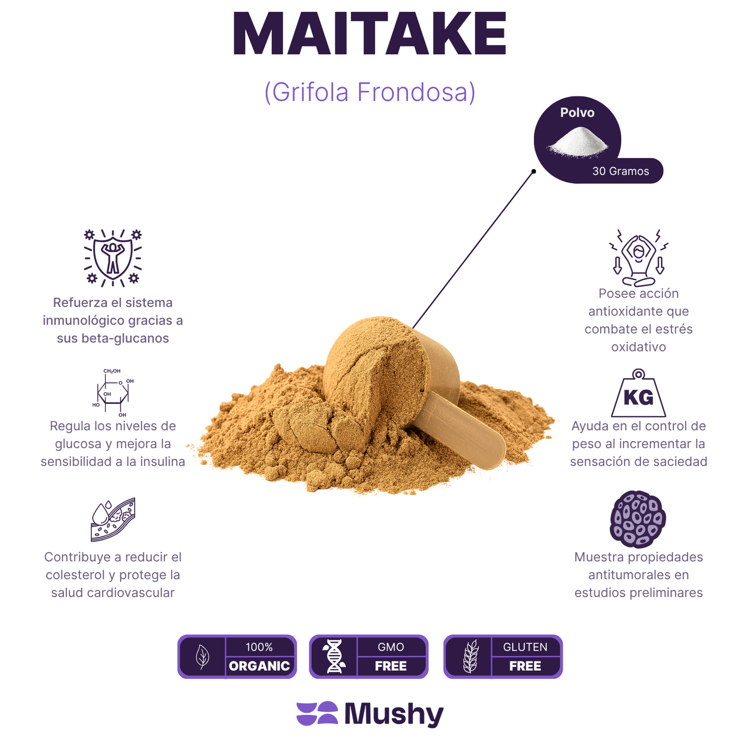 MAITAKE 100% PURO(Grifola frondosa)