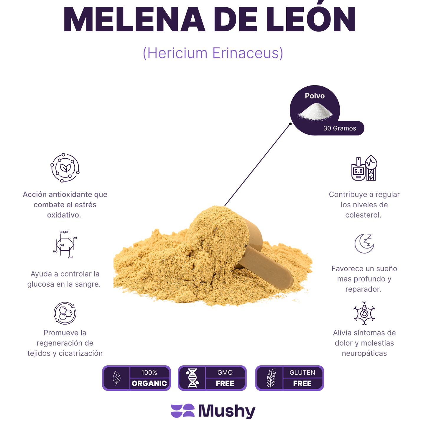 MELENA DE LEÓN 100% PURA