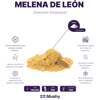 MELENA DE LEÓN 100% PURA